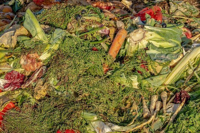 Denmark celebrates the initial food waste day