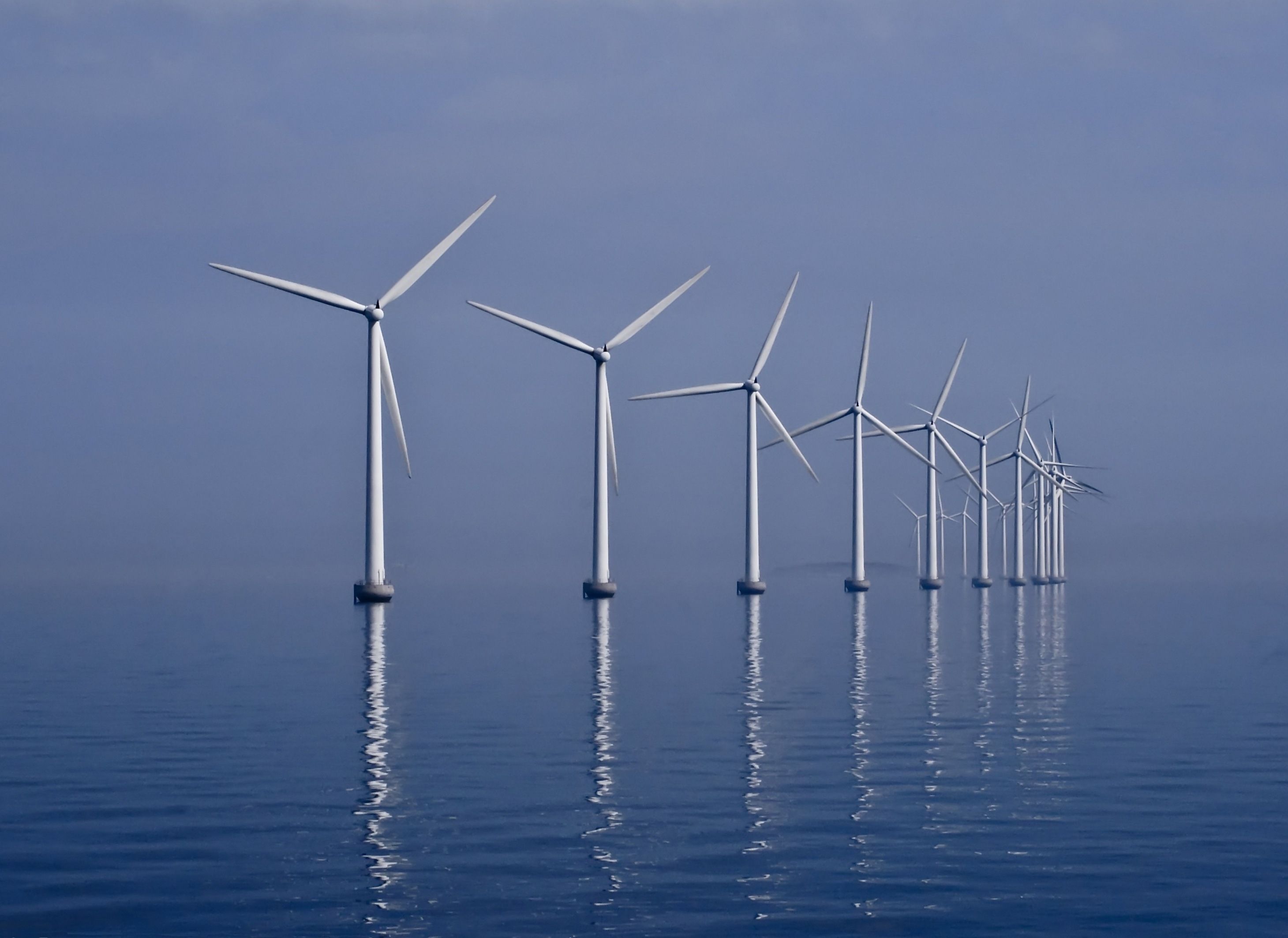 More wind farms could be cropping up near the coast