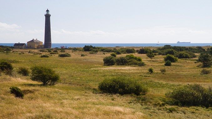 Skagen Lighthouse to become bird sanctuary