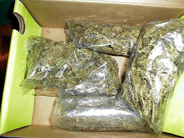 11 arrested in major cannabis trafficking case