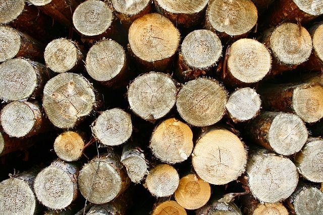 GPS transmitters being used to stop firewood thieves