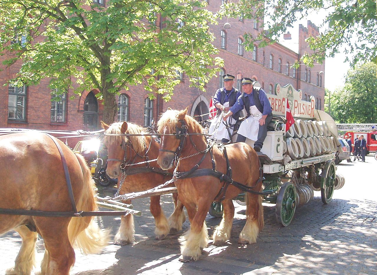 Early February Kids: Free horsecart rides at Carlsberg