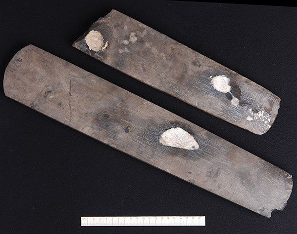 Historic flint axes found in Denmark