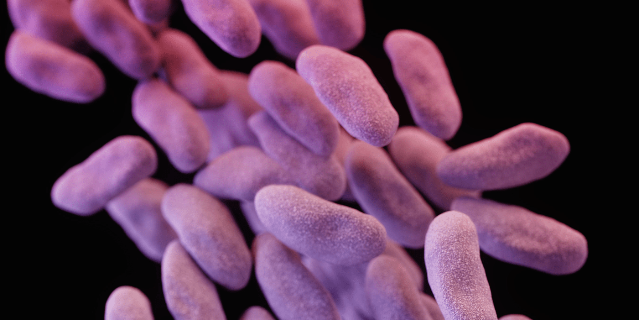 ‘Nightmare bacteria’ spreading in Denmark