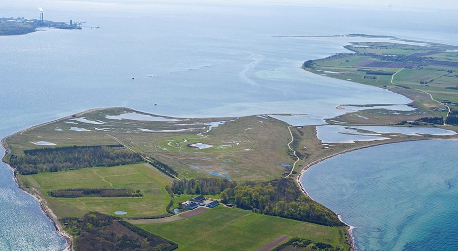Buy your own Danish island