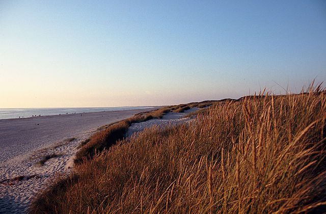 Southern Danish beach may reopen after being closed for decades