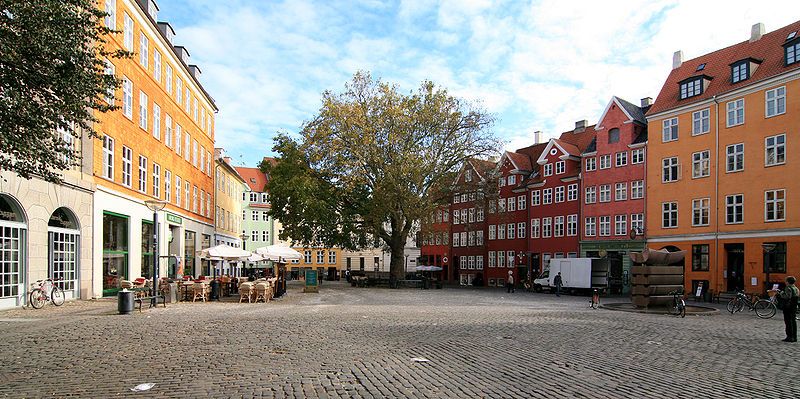 Copenhagen continues its green streak with new policy aimed at protecting trees