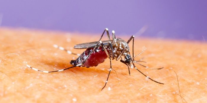 DTU spinout to help battle zika virus
