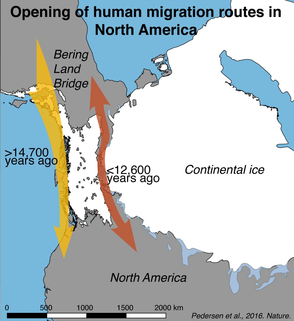 Map of the opening of the human migration routes in North America (photo: Mikkel Winther Pedersen - Statens Naturhistoriske Museum)