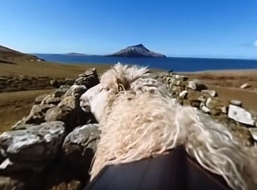 Stop bleating Faroe Islands, Google finally bringing ‘ewe’ Street View