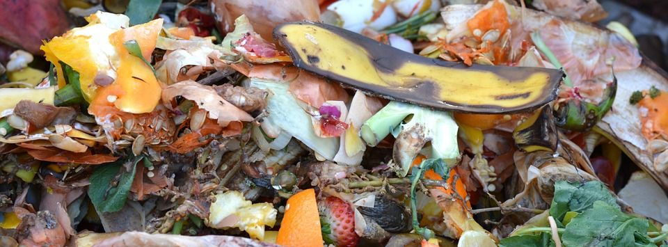 Copenhageners to sort food waste for recycling