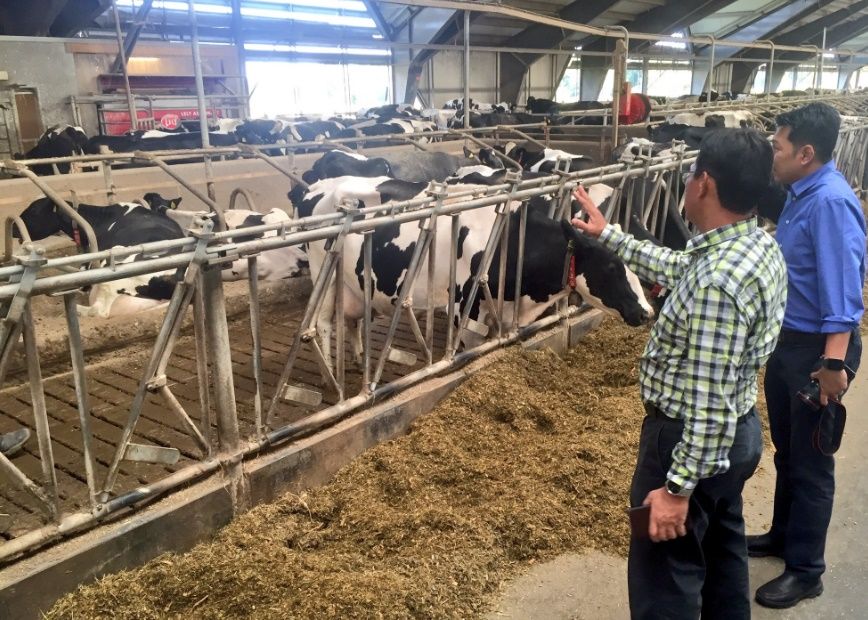 Malaysia looks to Denmark for milk knowledge
