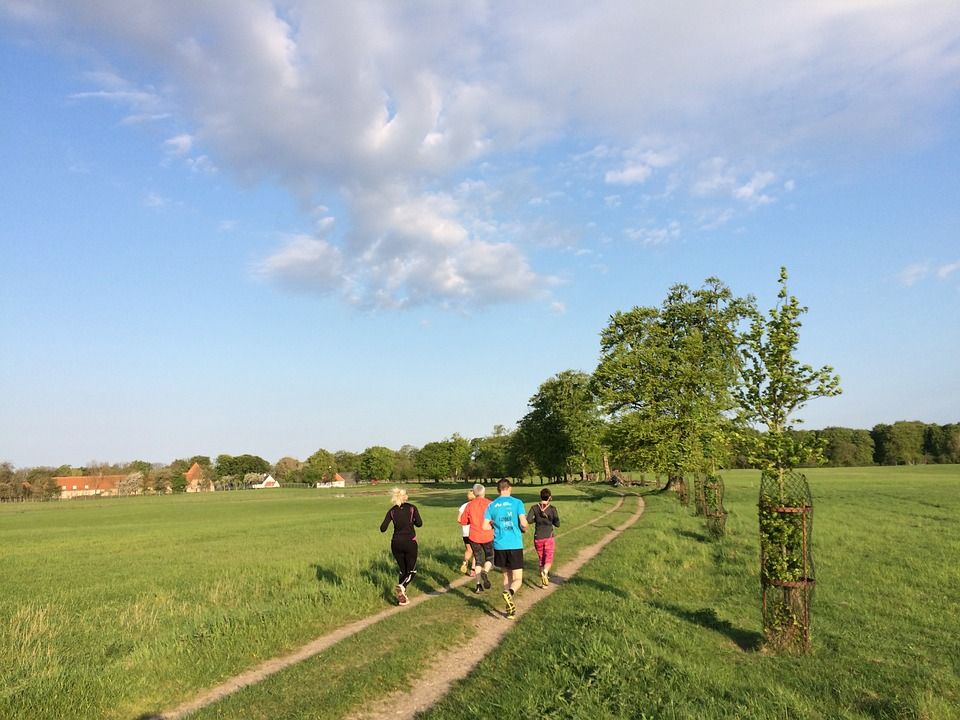 Danes in rural areas not doing enough exercise