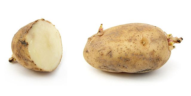 Copenhageners think spuds are duds