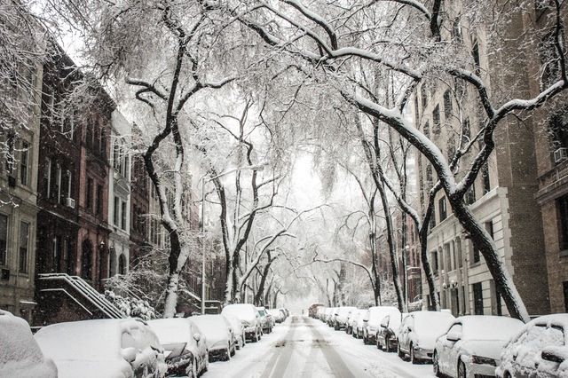 White Christmas looking as likely as France winning the World Cup … so pretty good odds!