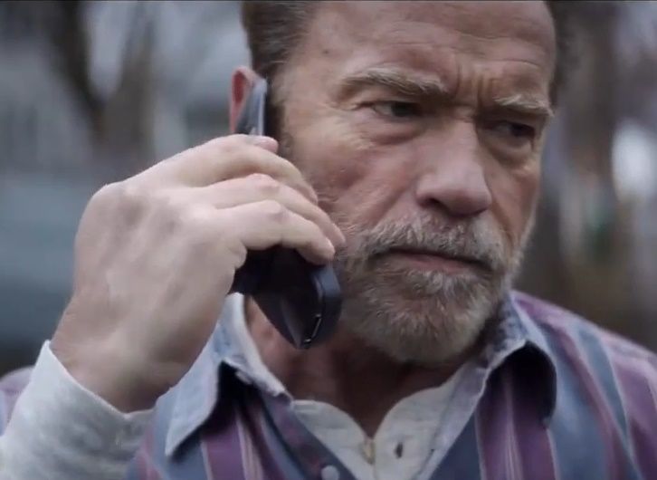 Arnold Schwarzenegger starring in film based on events connected to murdered Danish air controller