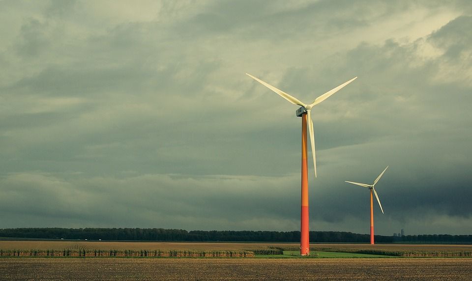 World Bank: Denmark top for green energy