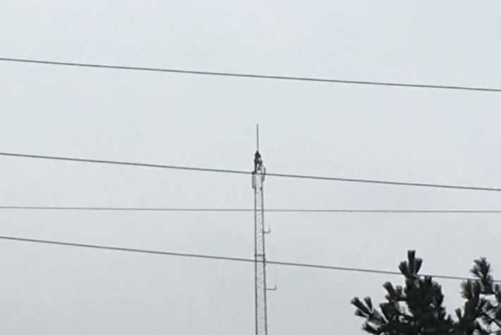 Man on wire: daredevil scales tower in Copenhagen