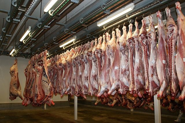 Authorities assessing whether Brazilian rotten meat reached Denmark