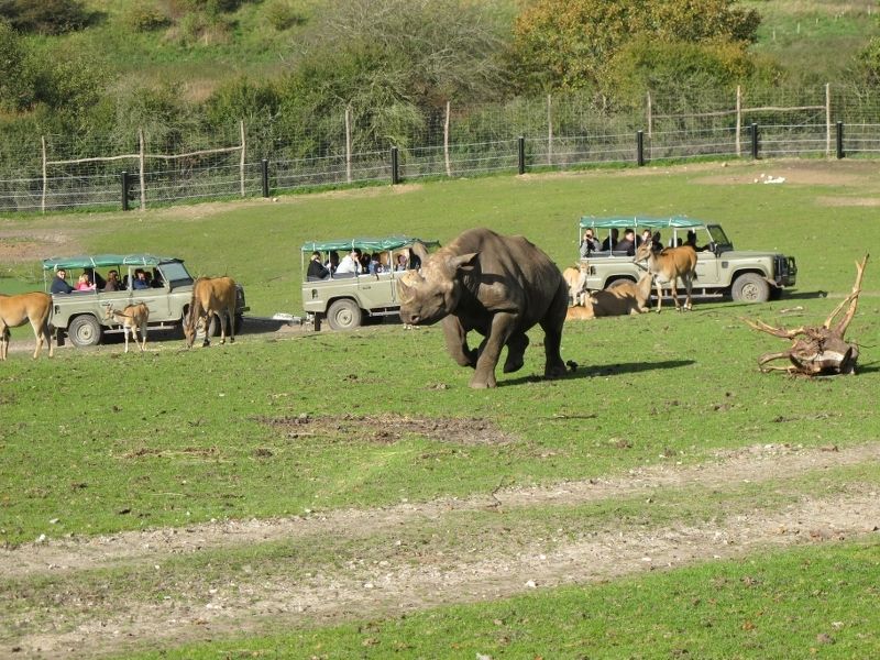 Danish safari park tightens security following zoo slaying