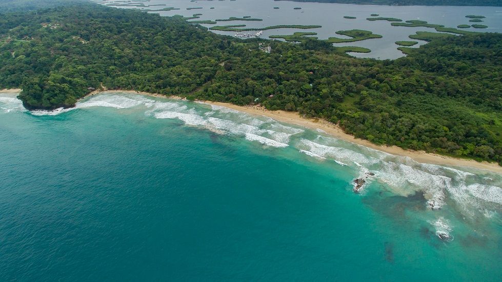 Danish tourist drowns at Red Frog beach in Panama