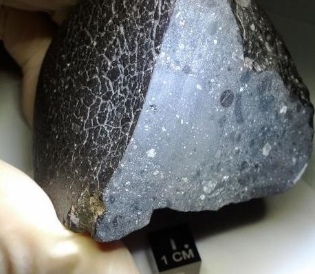 What a beauty! Danish researchers purchase slice of famous Mars meteorite