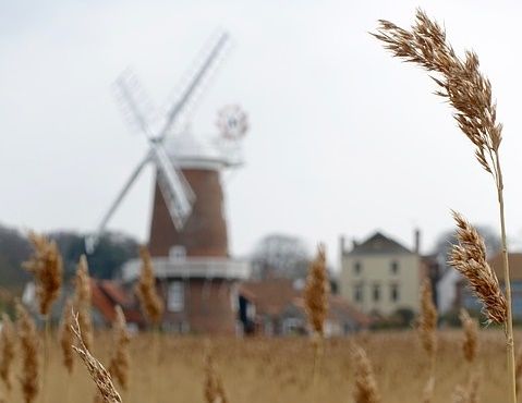 Organic farmland at record high in Denmark