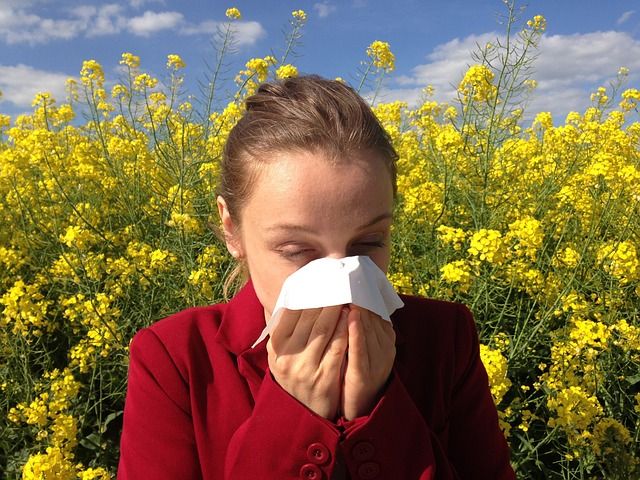 Over a million Danes battling hay fever