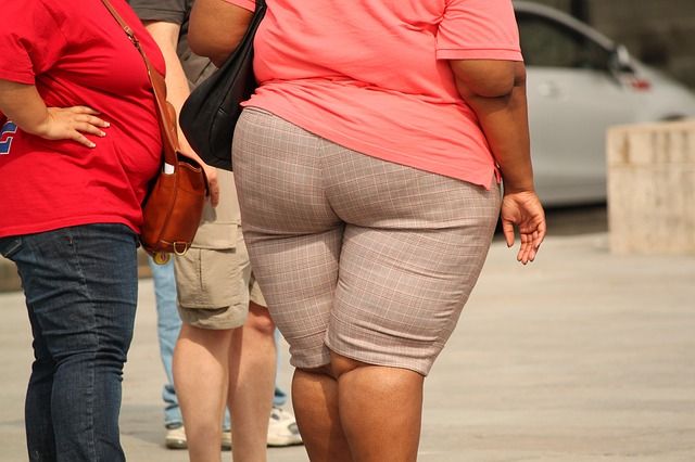 Overweight mothers can ‘infect’ children with tendency to obesity, Danish research indicates