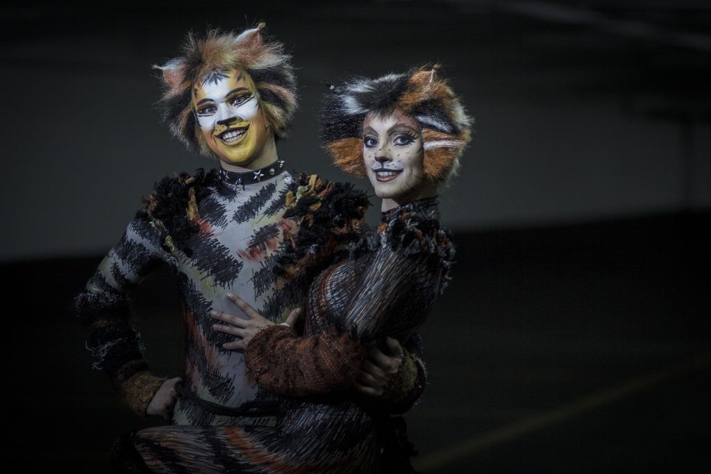 Feline good: Tickets worth sinking your claws into