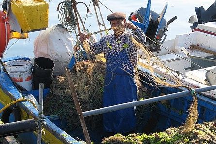 Fishing is now a nice little earner for Danish trawlermen