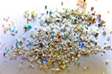 Danish News in Brief: Good news regarding microplastics levels, or at least in the Baltic