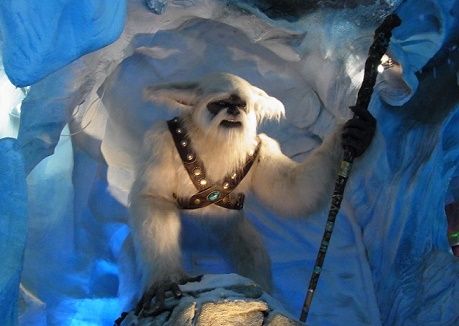 Abominable snowman only a bear, Danish research indicates