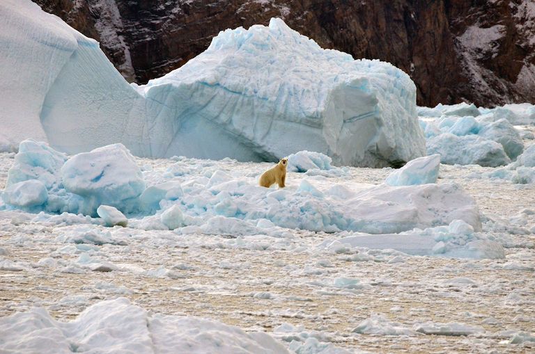 GEM project makes data on Greenland freely available to all