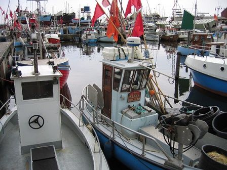 Danish fishermen trawling illegally in Øresund