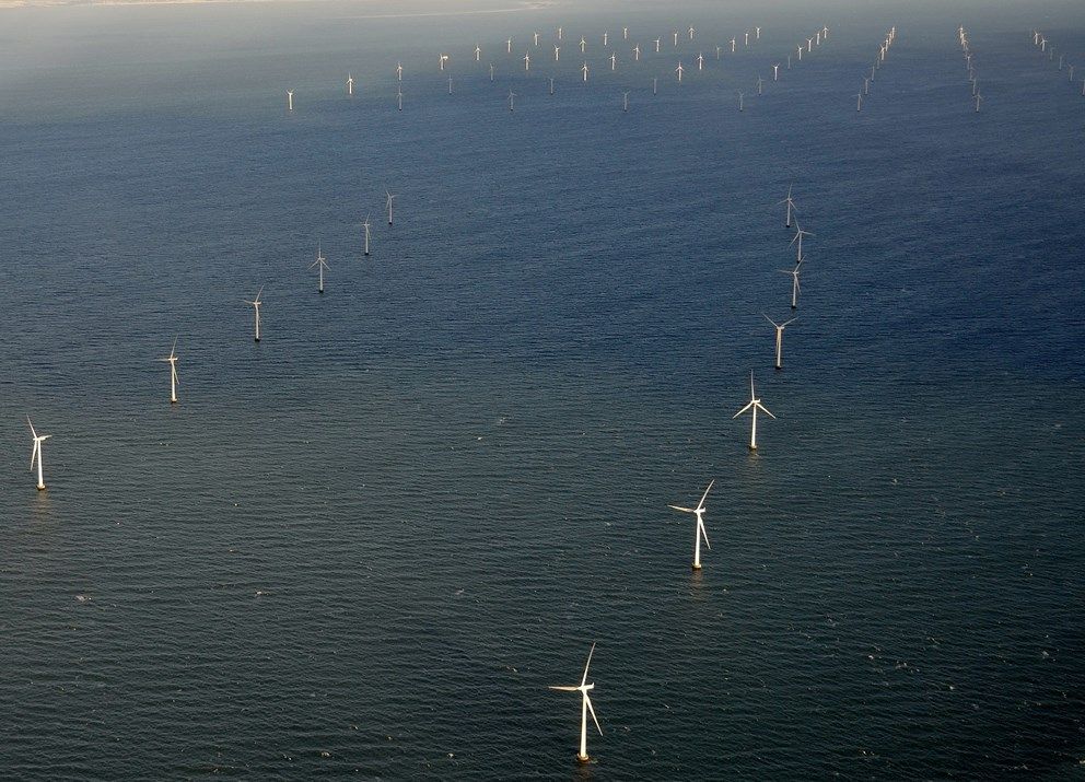 Government wants to build massive wind energy park