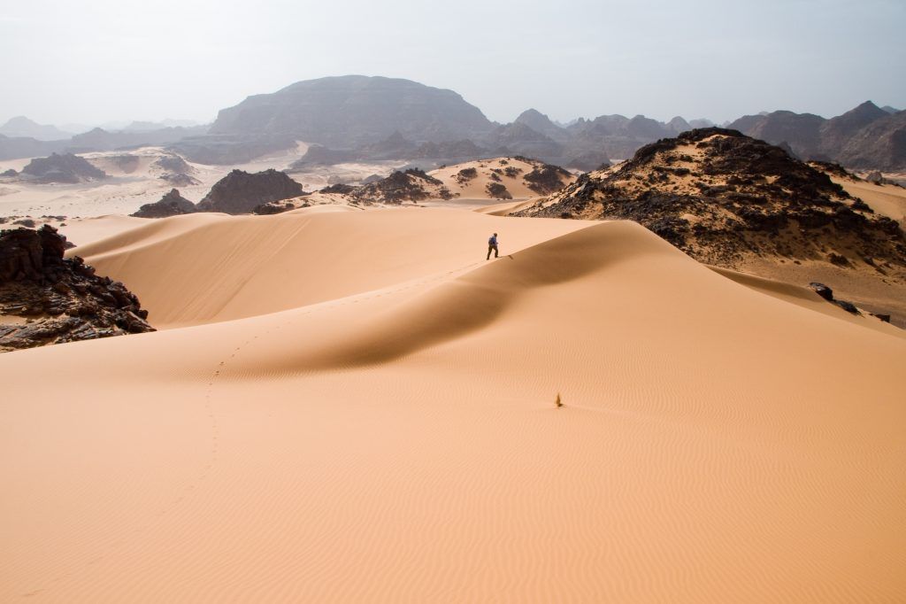 April still the cruellest month: Sahara weather, birch pollen and higher energy bills