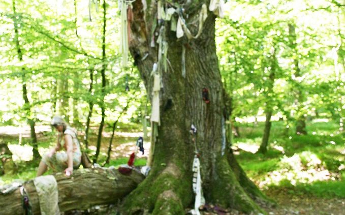 The sacred tree that offered more than a change of clothes
