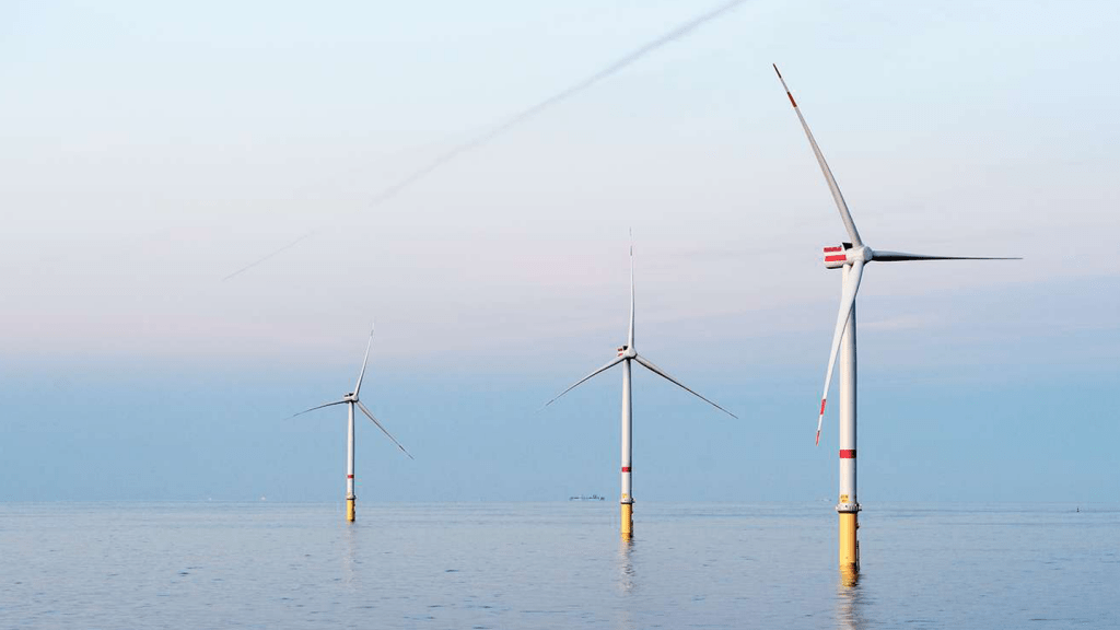 Done with Danish electricity: Ørsted to focus on green energy