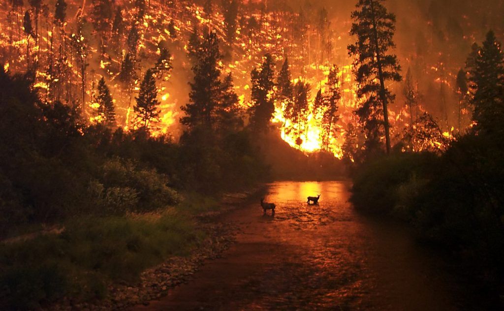 Dane charged with starting devastating wildfire in Colorado