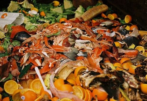Danish government to set up food waste think-tank