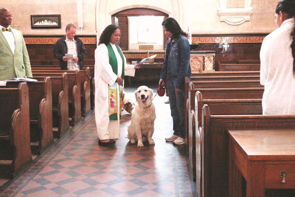 Out & About: Anglicans like dogs, and not so much of the cats who lick