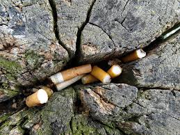 Time to eradicate the billions of cigarette butts in Danish nature, urges cancer society