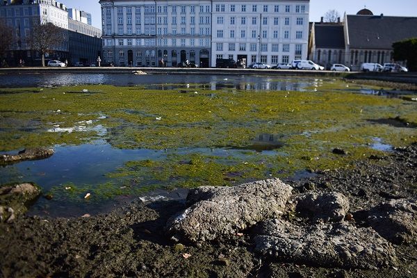 Use groundwater to top up Copenhagen’s starved lakes in summer, urges environmental foundation