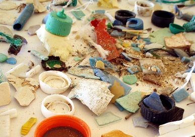 Science News in Brief: Danish researchers to amass database on maritime plastic waste