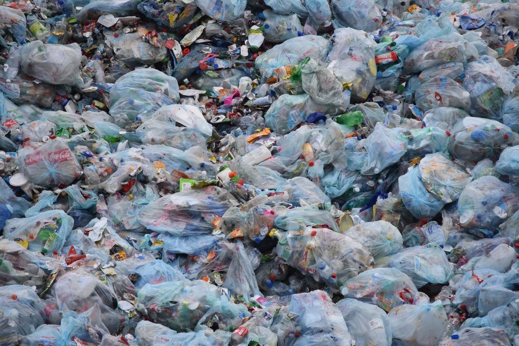 Denmark looking to ban thin plastic bags