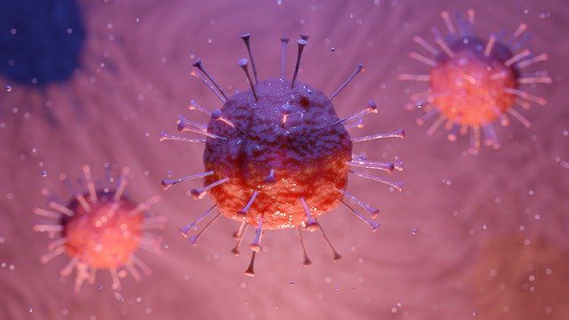 Twice as many men dead from coronavirus as women
