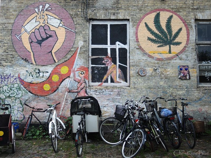 Christiania stay ban on abuse of power, claims the Danish Institute for Human Rights