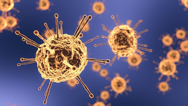 Denmark’s ‘high’ coronavirus shows a distortion of facts, urges academically