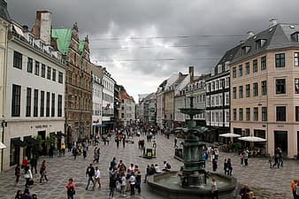 Local Round-Up: Copenhagen’s mayor expects local businesses to receive compensation